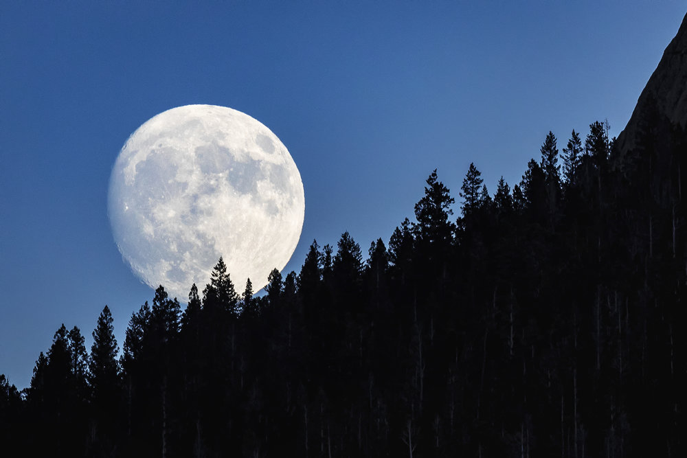 SuperMoon_J3A0792FB.jpg